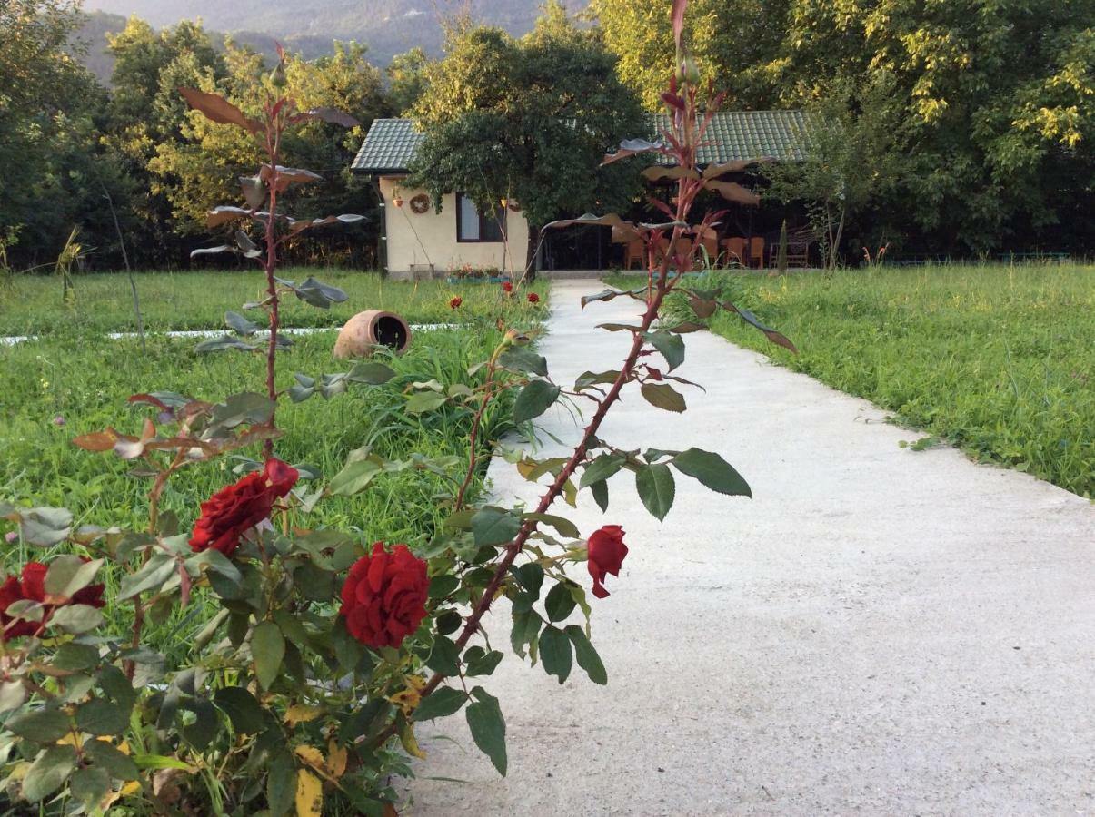 Taripiri Villa Ambrolauri Dış mekan fotoğraf